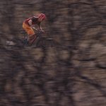 WildFire Mountain Bike project image 6
