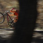 WildFire Mountain Bike project image 11